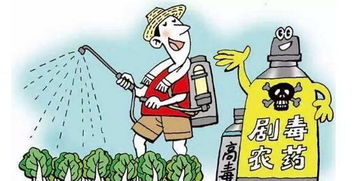 6月起哪些新規將影響你的生活？景泰人必看的法律要點解析